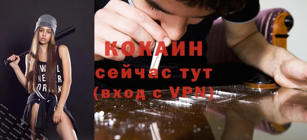 винт Мегион