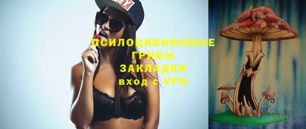 spice Михайлов