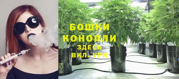 винт Мегион