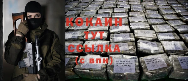 винт Мегион
