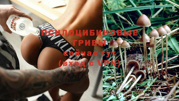СК Михайловск