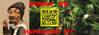 дурь Новодвинск