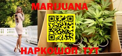 прущий лед Новозыбков