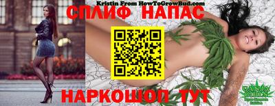 дживик Новокубанск
