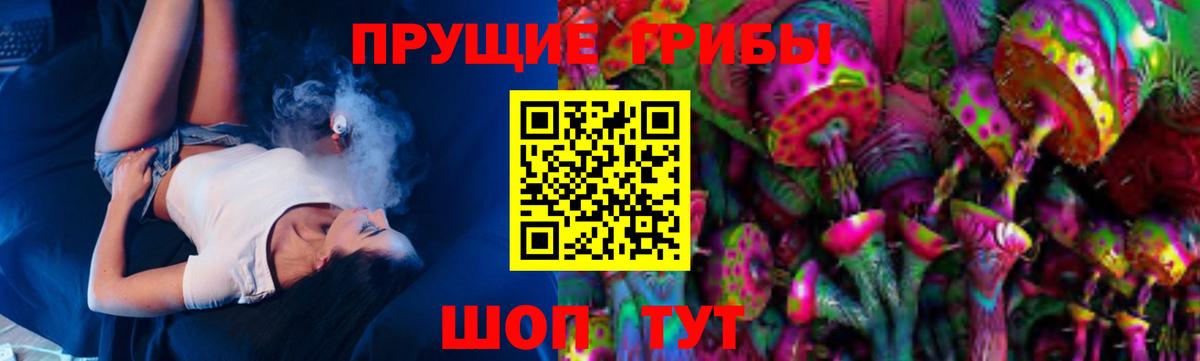 Псилоцибиновые грибы прущие грибы  Невинномысск 